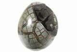 Septarian Dragon Egg Geode - Sparkly Black Crystals #355908-2